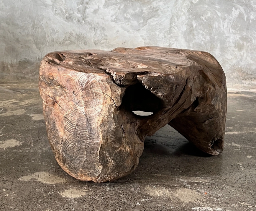 L’Ancêtre Teck - Sculpture de Salon Monoxyle Unique