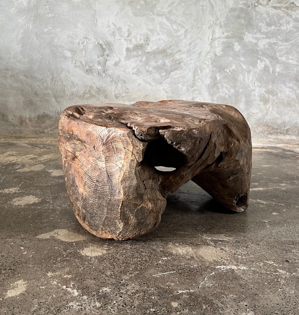 L’Ancêtre Teck - Sculpture de Salon Monoxyle Unique