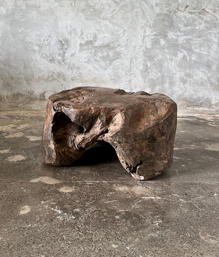 L’Ancêtre Teck - Sculpture de Salon Monoxyle Unique